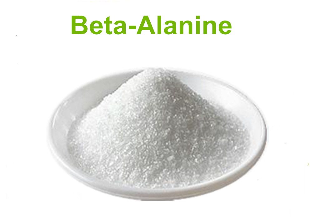Beta alanine là gì?