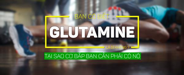 glutamine-quan-trong-the-nao-voi-nguoi-tap-gym-no-co-loi-cho-co-bap-the-nao